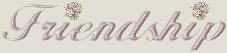 Friendshipsign.jpg (3437 bytes)